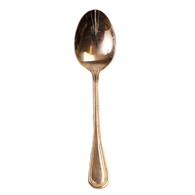 EURO GOLD TEASPOON